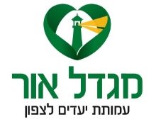 cropped logo migdal or@2x