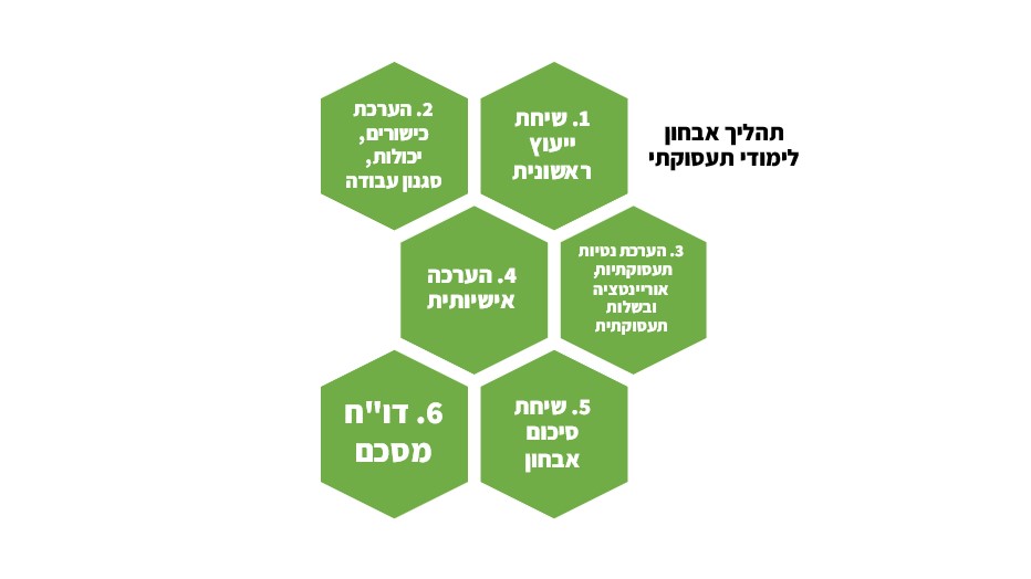 בתמונה פירוט 6 שלבי האבחון הלימודי תעסוקתי בתרשים זרימה כולל סדר הפעולות לפסיכולוגית התעסוקתית